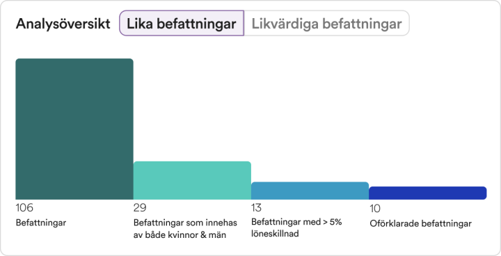 Analysis overview SE 1 befattninger