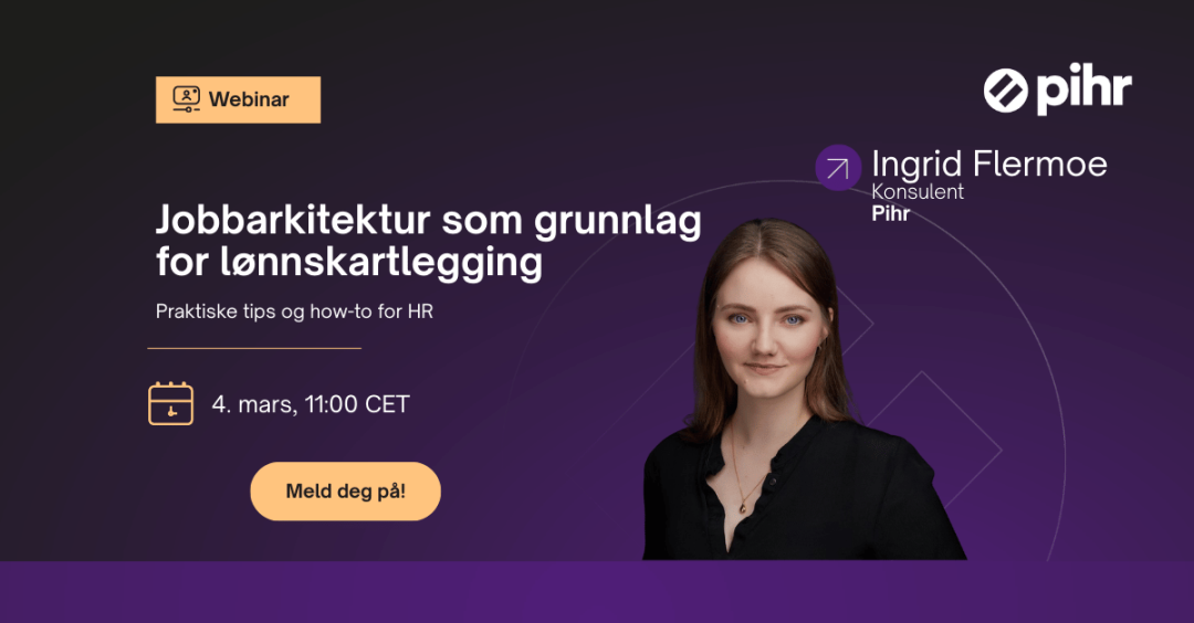 Jobbarkitektur som grunnlag for lønnskartlegging