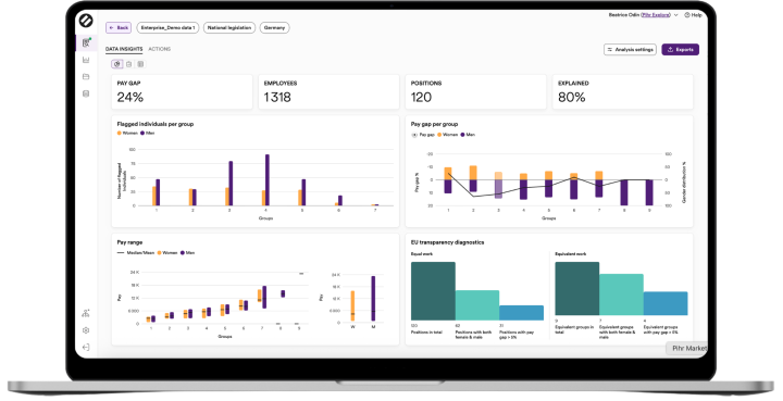 Pihr Pay Equity Software system